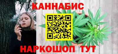 индика Кулебаки