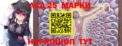 индика Кулебаки